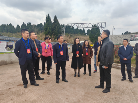 内江民建界别委员积极参加“突破性发展肉牛羊产业”调研协商活动